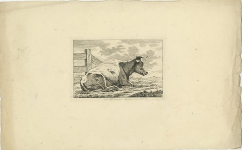 Etching of Resting Cow by Fence: Rural Scene by Anthony Oberman, 1810, view 2
