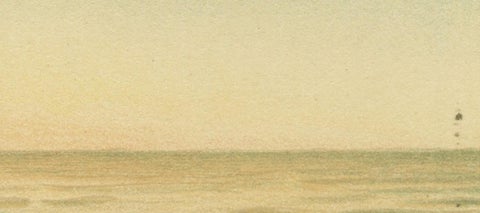 Leopard Seal, Antique Marine Mammal Chromolithograph, 1894, view 7