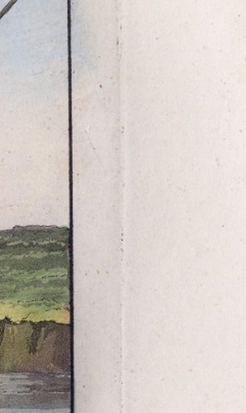 Chinese Farmer with Water Buffalo, Agricultural Scene, Ferrario Print of 1815, view 11