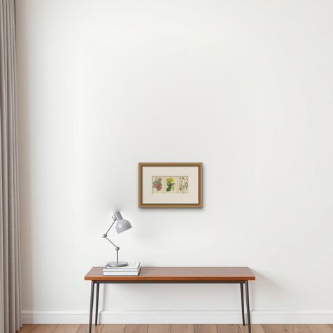 Antique Botanical Prints: Christmas Cactus, Prickly Pear Cactus & Fig Marigolds, shown framed on a wall