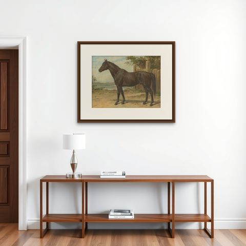 Original Antique Print of the Australian Horse by O. Eerelman, 1898, shown framed on a wall