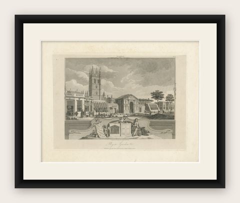 Antique Oxford Botanic Garden Engraving, Oxford Almanack, Benjamin Green, 1820, shown framed