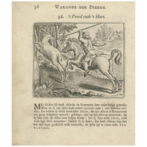 1617 Horse and Deer Engraving by Vondel, Warande der Dieren