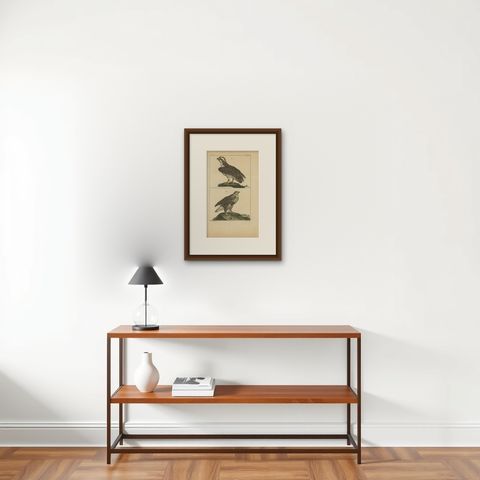 Antique Print of Birds of Prey by Vangelisti, c.1820, shown framed on a wall