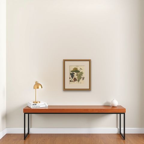 Antique Grape Varieties Botanical Print, Vitis Vinifera Study, c.1831, shown framed on a wall