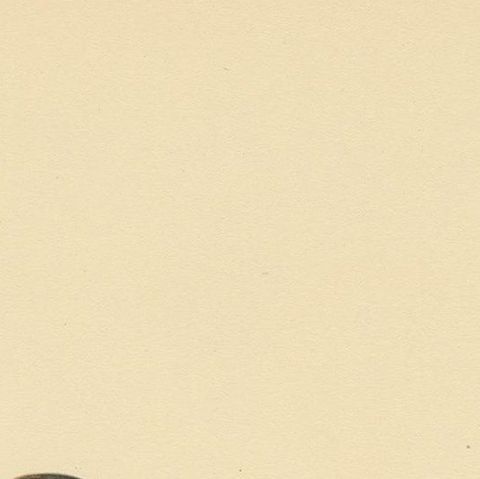 Antique Bird Print of a Young Horned Grebe by Von Wright, 1929, close-up 1