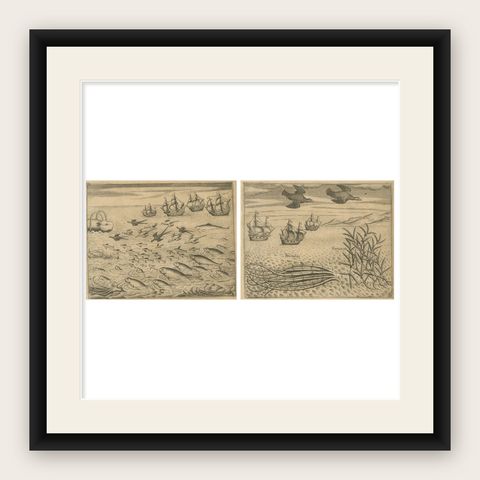 Pair of De Bry Engravings of Birds, Fish & Sea Plants en Route to India, c.1598, shown framed