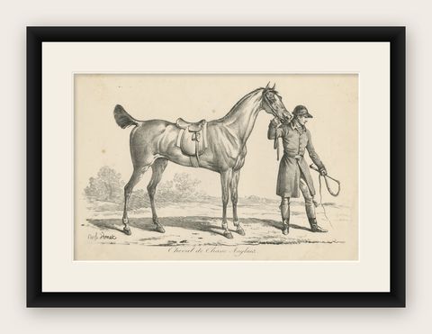 Antique Print of a Horse used for Hunting in England, shown framed