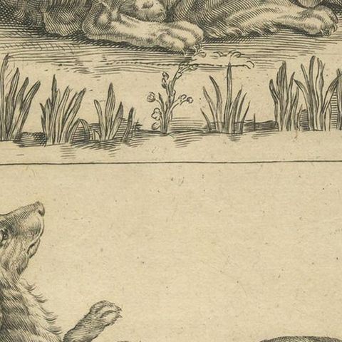 Antique Animal Print of Various Dogs, 'c.1720', close-up 2