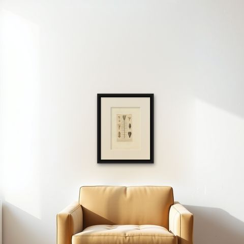Antique Print of Fossils and Other Marine Life by Guérin, c.1829, shown framed on a wall