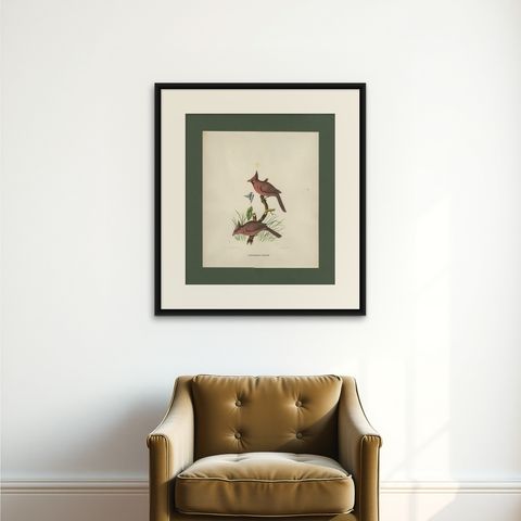 Antique Bird Print of Northern Cardinals Made After D.G. Elliot, 1869, shown framed on a wall