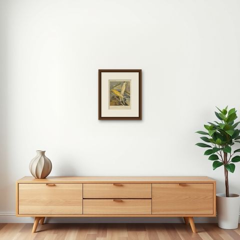 Antique Bird Print of the Manchester or Lancashire Coppies, Grey and Clear, shown framed on a wall