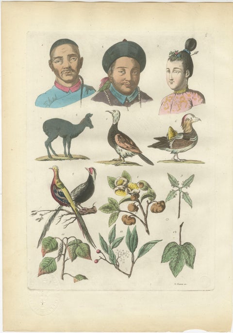 China Figures, Fauna & Flora, Hand-Colored Antique Print, Ferrario, Italy 1815, view 11