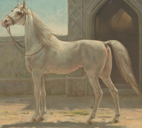 Antique Print of a Persian Horse by O. Eerelman, 1898, view 2