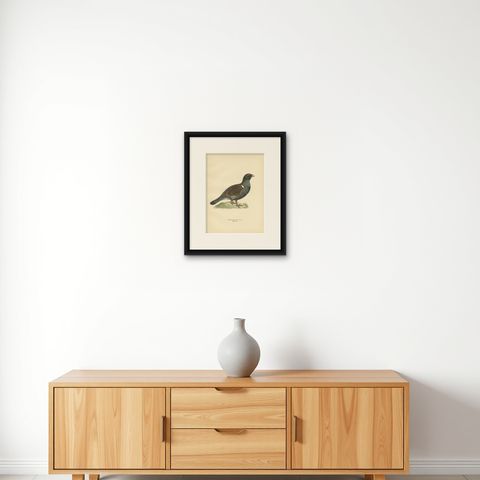 Antique Bird Print of the Western Capercaillie 'Male' by Von Wright, 1929, shown framed on a wall