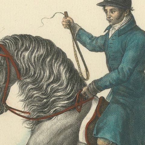 Antique Print of a Spanish Horse, close-up 1