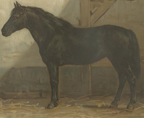 Antique Print of an English and French Pony by O. Eerelman, 1898, view 3