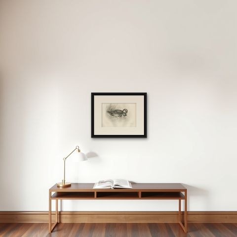 Duck and Duckling, Antique Bird Print after Lilian Medland, circa 1909, shown framed on a wall