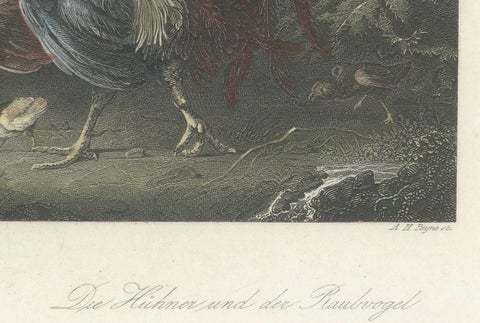 Defending the Flock: The Poultry's Stand Against the Hawk, Hand-colored ca.1860, close-up 1