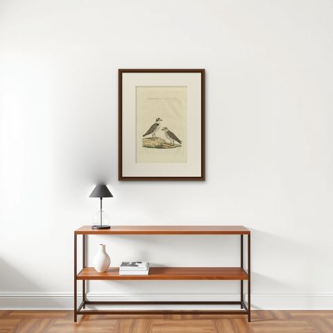 Antique Bird Print of the Kentish Plover by Sepp & Nozeman, 1829, shown framed on a wall