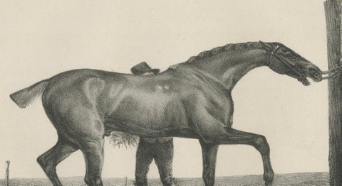 Muly Moloch, Antique Sporting Horse Lithograph, Hullmandel c.1840, close-up 1