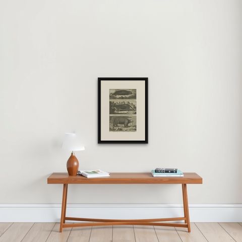 Antique Print of a Sea Otter, an Opossum, and a White Bear, c.1784, shown framed on a wall