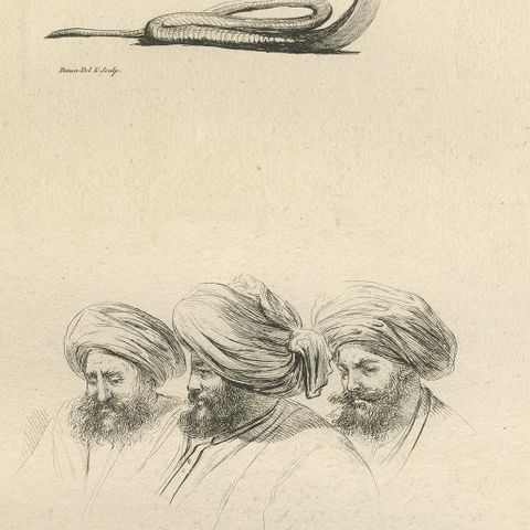 Comparative Head Studies and Cobra, Egypt, Antique Engraving, c.1802, close-up 5