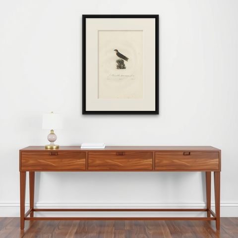 Antique Bird Print of the Cave Swallow by Vieillot, '1807', shown framed on a wall