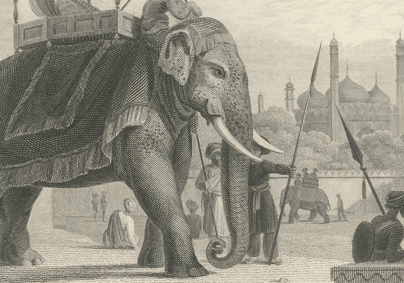 Lucknow, State Elephant with Canopied Howdah, Antique Steel Engraving, 1859, view 3