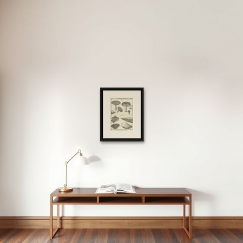 Decorative Antique Engraving of Suillus and Agaricus Mushrooms, c.1800, shown framed on a wall
