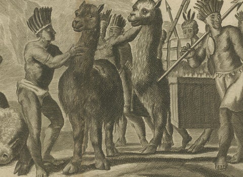 Original Antique Engraving of Peruvian Llamas by Arnoldus Montanus, c.1671, close-up 5