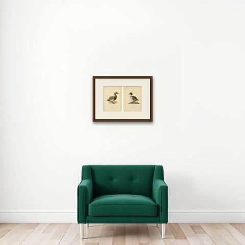 1929 Swedish Ornithology Lithographs Pair, Red-crested Pochard & Goldeneye, shown framed on a wall