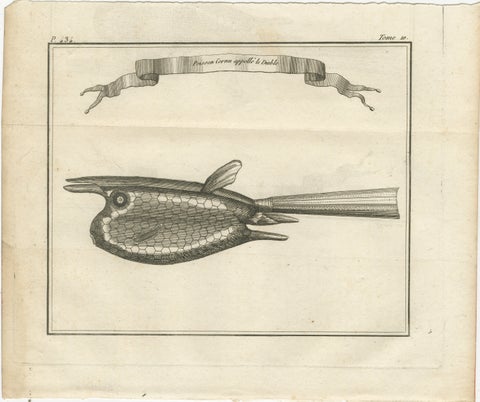 Poisson Cornu dit “Le Diable”, Antique French Engraving of a Horned Fish, 1790, view 2