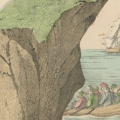Antique Whaling Scene Print with Bowhead Whale, Dolphin and Sea Lion, circa 1890, close-up 1