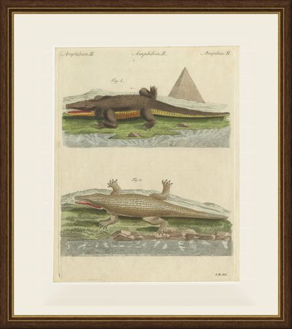 Crocodiles with an Egyptian Pyramid, Antique Bertuch Print, Vienna, circa 1805, shown framed