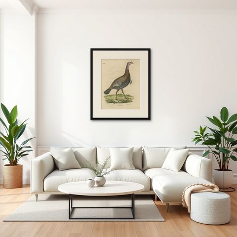Gatt Meleagris Antique Lithograph Print of Wild Turkey, Circa 1824, shown framed in a room