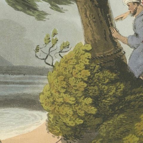 Foreign Field Sports: Egyptians, Crocodile Catching by Dubourg & Howitt, 1813, close-up 6