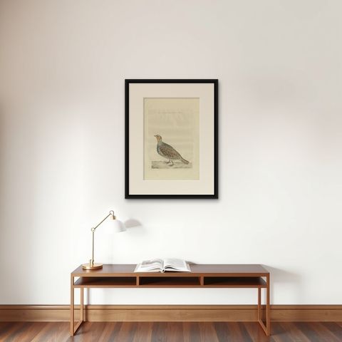 Antique Bird Print of a Male Grey Partridge by Sepp & Nozeman, 1789, shown framed on a wall
