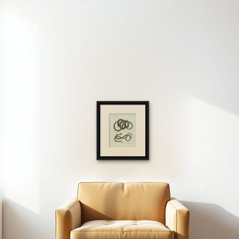 Original Antique Print of Four Slow Worms and Legless Lizards by Bertuch, 1802, shown framed on a wall