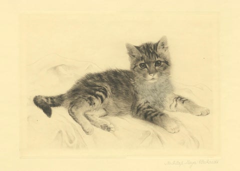Antique Cat Etching by Kurt Meyer-Eberhardt, Estate Edition, Posthumous 1977, close-up 2