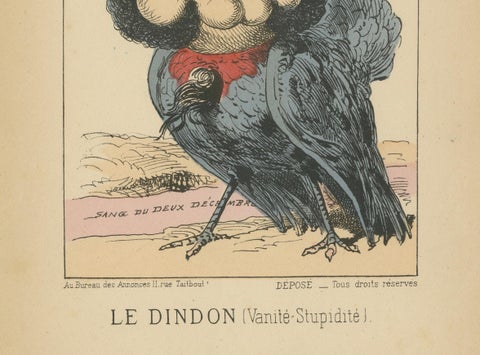 Imperial Menagerie: Maupas - The Turkey (Vanity - Stupidity), 1870, close-up 2