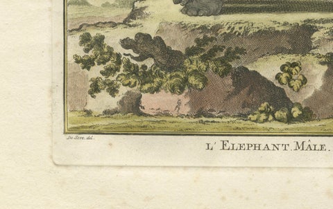 Charming Elephant Pair, Antique Hand-Coloured Prints by Buffon, 1769, close-up 5