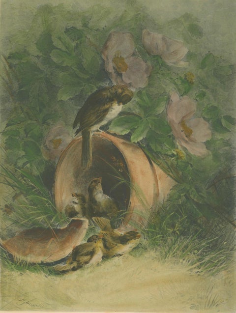 Nestled Sparrows in a Broken Flower Pot - Rare Giacomelli Ornithological Print, close-up 3