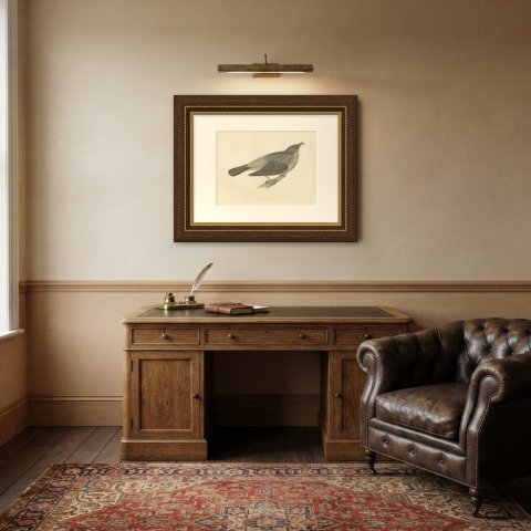 Missel Thrush or Mistle Thrush with a Berry, Morris Bird Print, 1896, shown framed in a room