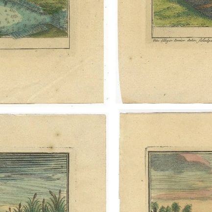 Set of 4 Colored Antique Prints of Various Fishes and Crustaceans, close-up 2