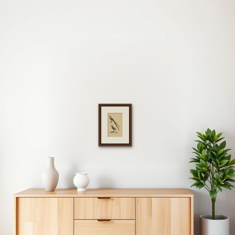 Pl. 63 Antique Bird Print of a Flycatcher and Antpitta by Lejeune 'c.1830', shown framed on a wall
