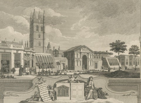 Antique Oxford Botanic Garden Engraving, Oxford Almanack, Benjamin Green, 1820, close-up 3