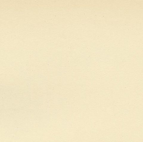 Antique Bird Print of the Willow Warbler by Von Wright, 1927, close-up 1