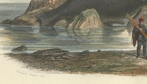 Le Physale Cylindrique (Sperm Whale), Hand-Colored Engraving, 1840, close-up 5