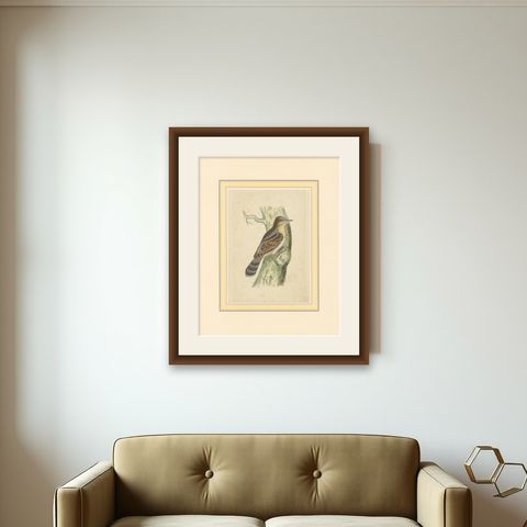 Antique Bird Print of a Wryneck, circa 1880, shown framed on a wall